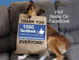 VisitNellieOnFacebook